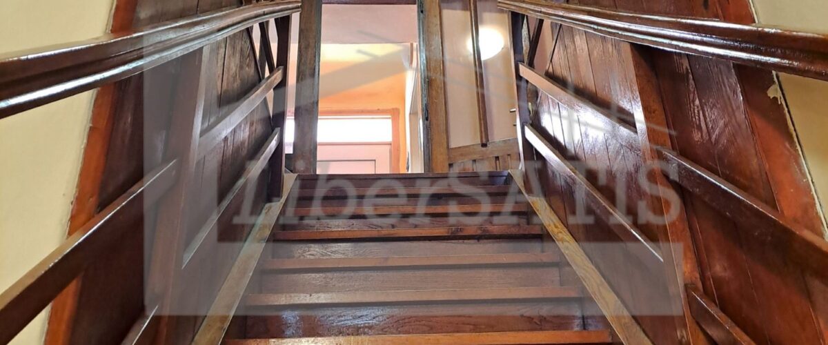 20250826_110029_Watermarked