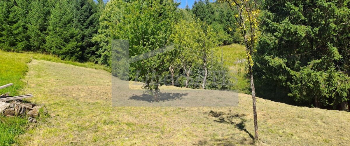 20250826_111202_Watermarked