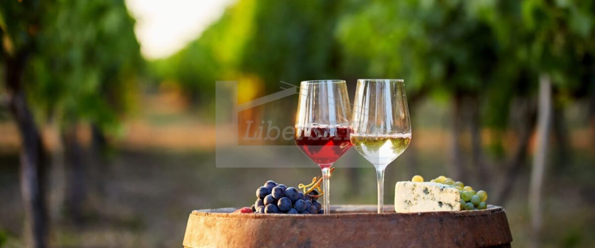 2_Watermarked