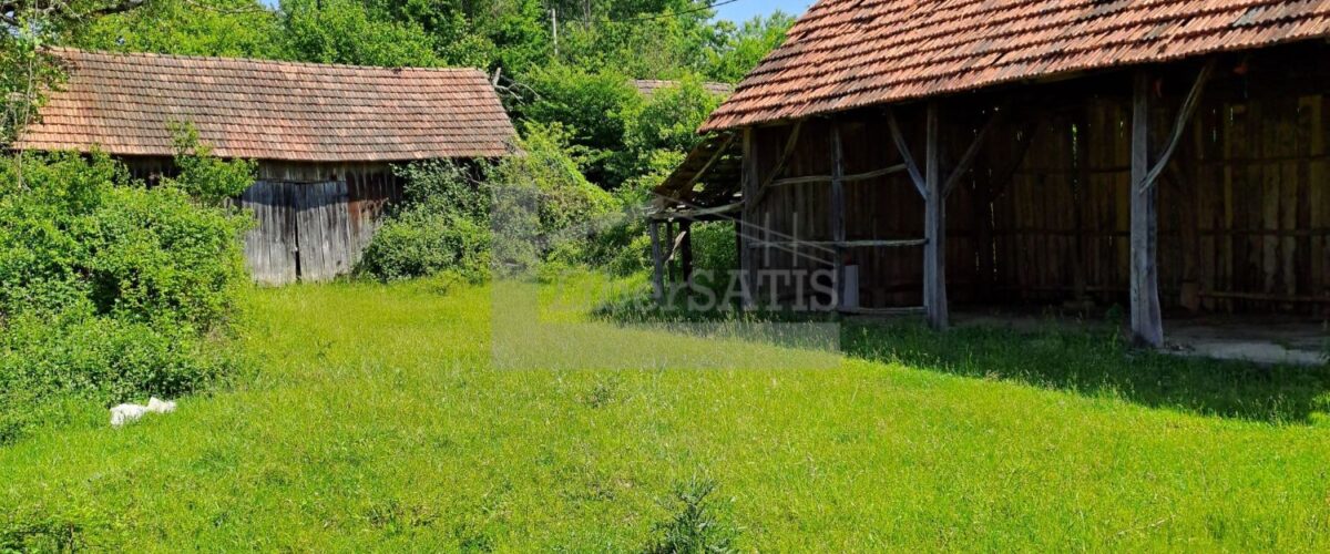 3_Watermarked