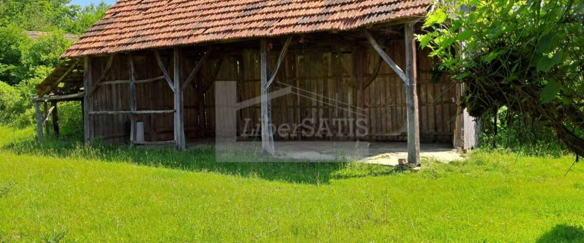4_Watermarked