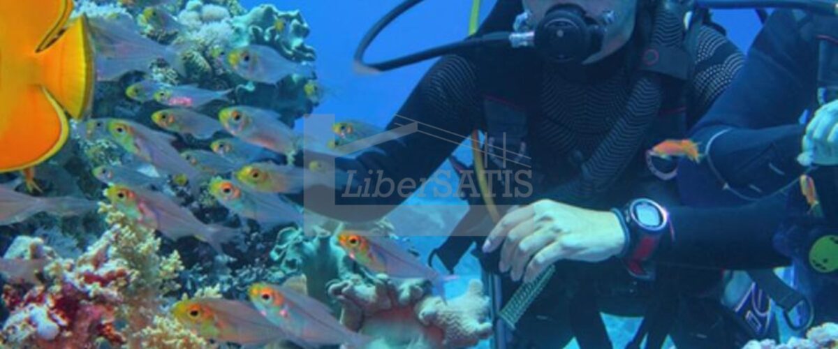 5_Watermarked
