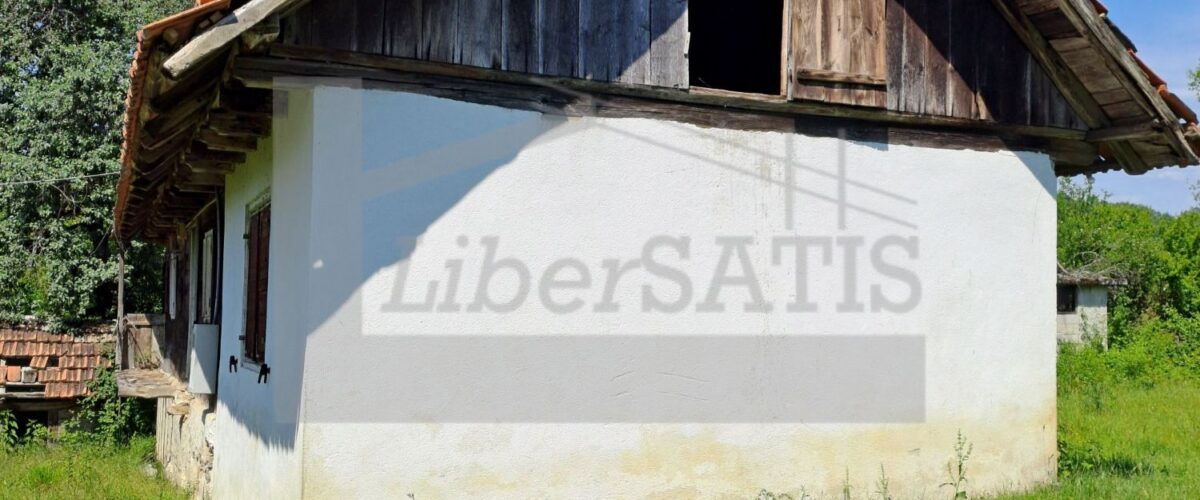 7_Watermarked
